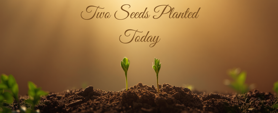 Planting Good Values