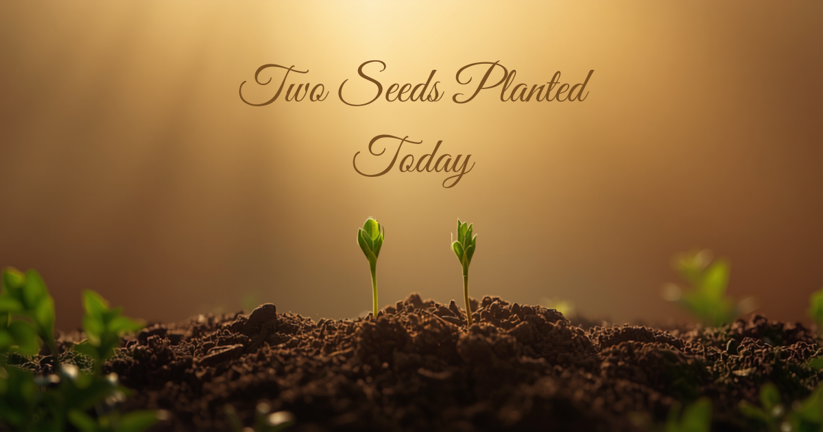 Planting Good Values
